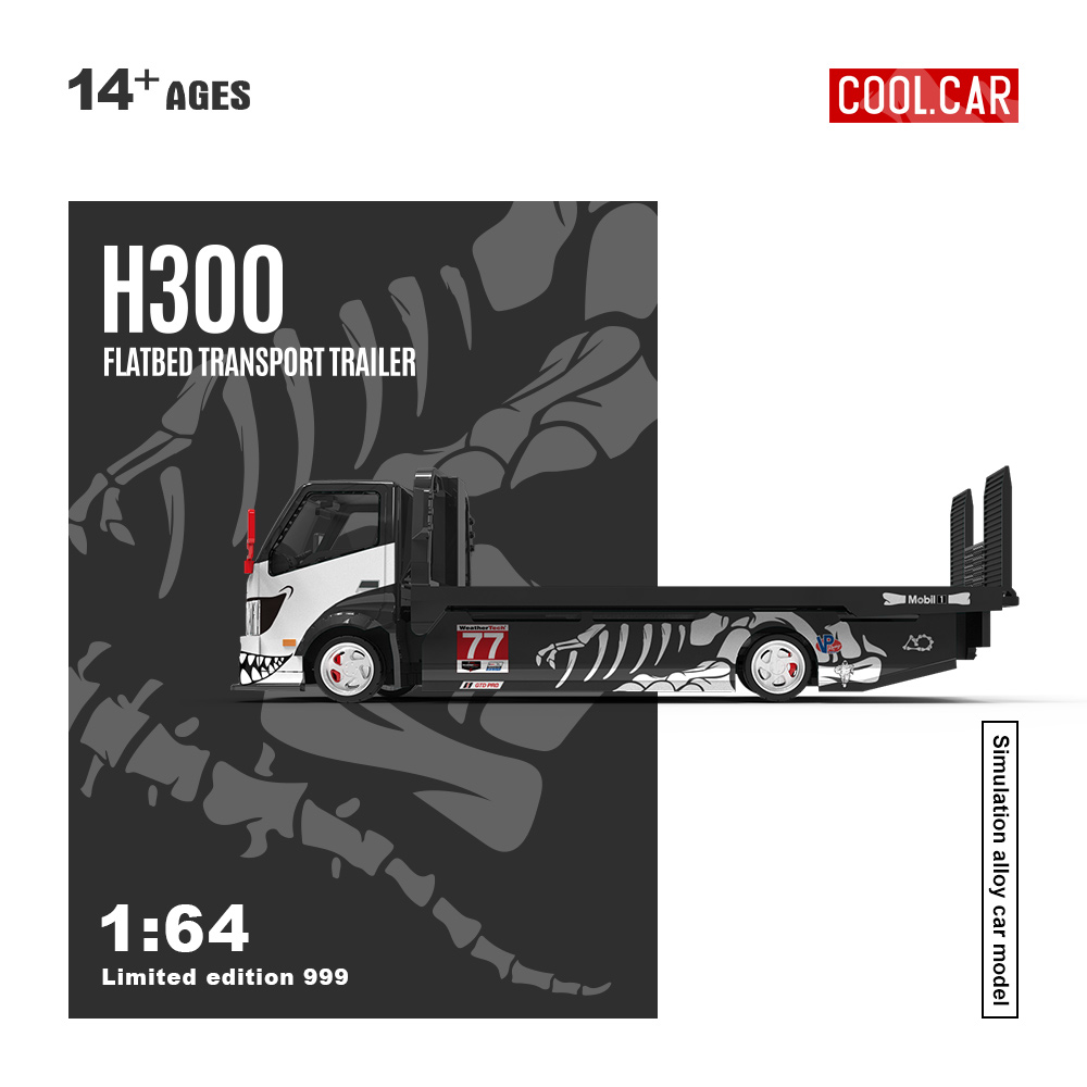 Mobil Keren 1:64 H300 Flatbed  - Car Accessories Company ulasan dan harga