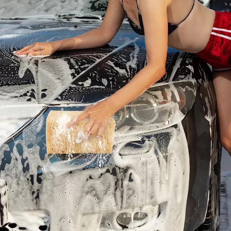 Spons Cuci Mobil Besar Berbent - Car Detailing Brush ulasan dan harga